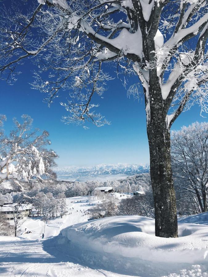 הוילה Nozawa Peaks מראה חיצוני תמונה